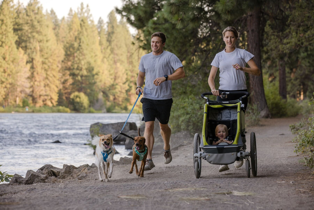 4 actividades de verano para disfrutar con tu perro y tus hijos al aire libre