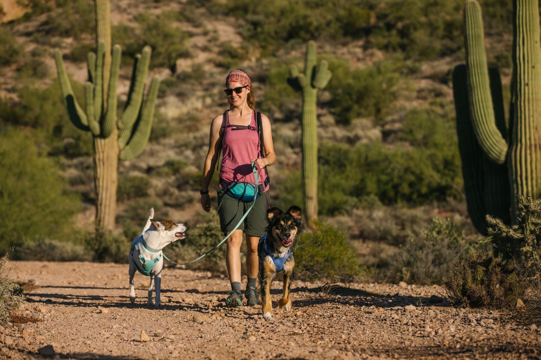 Ruffwear
