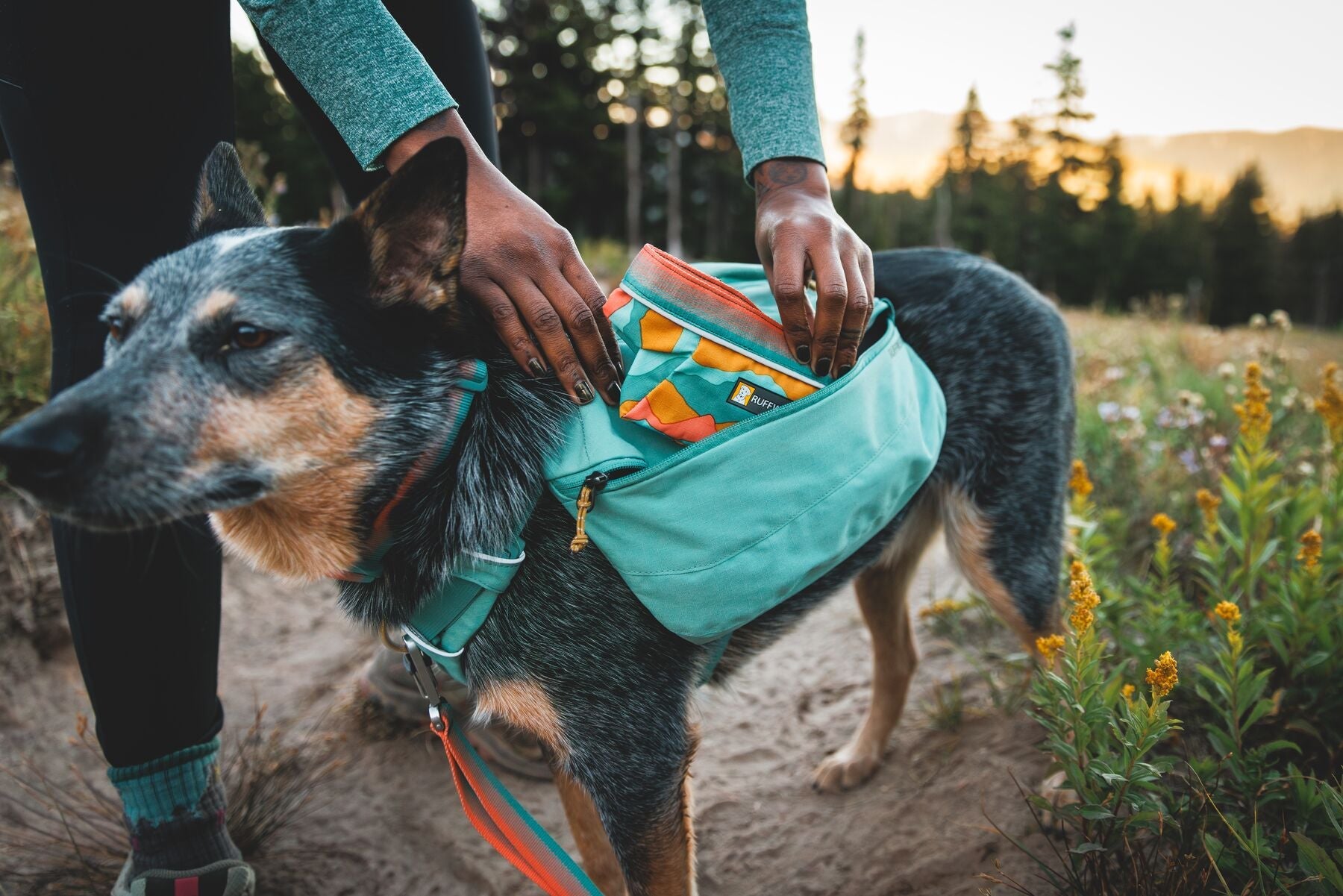 Mochilas