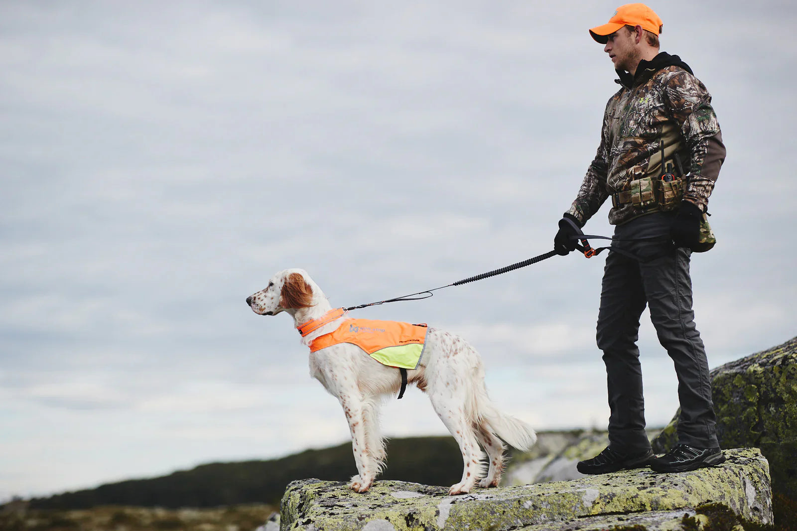 Alta visibilidad