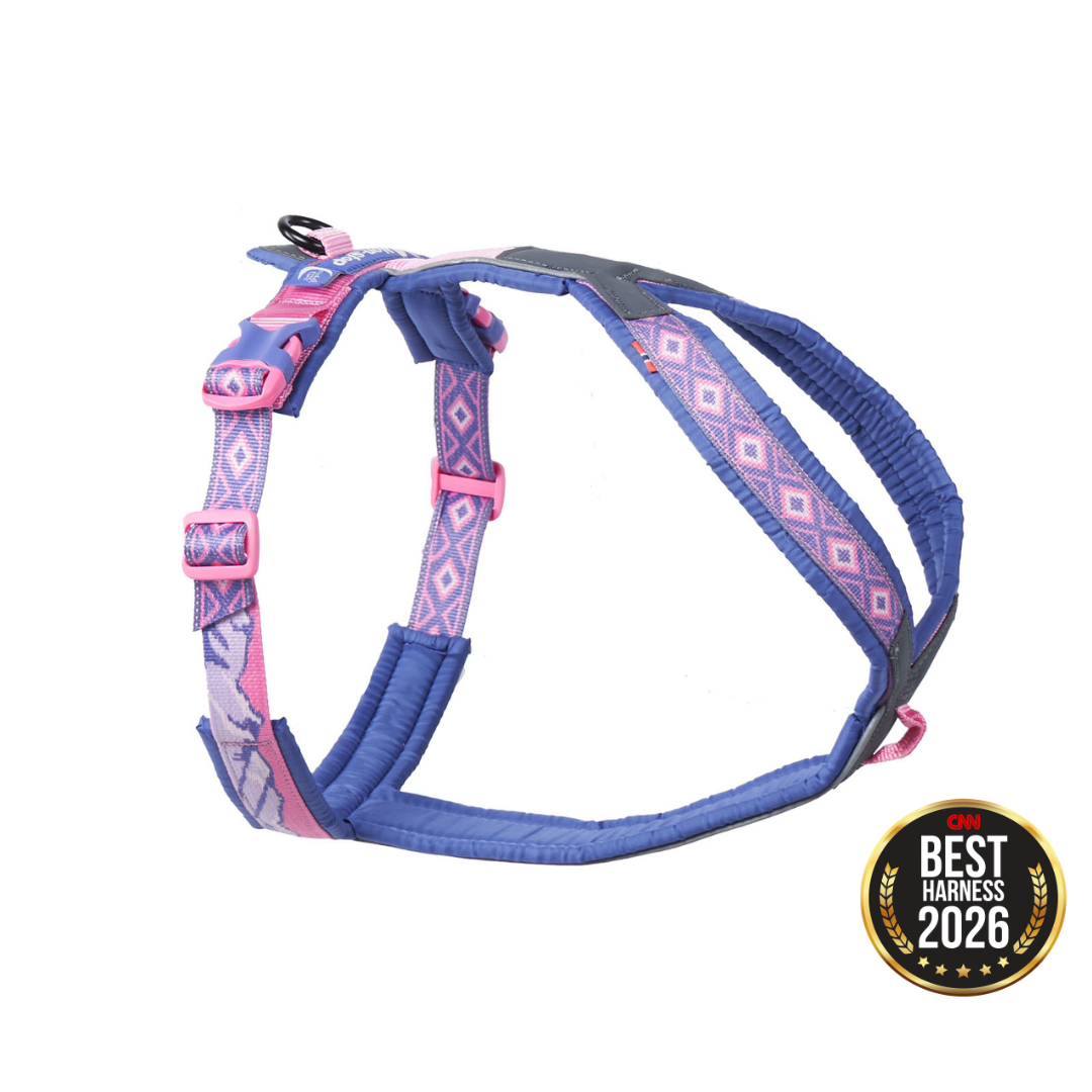 Non-Stop Dogwear Line Harness 5.0