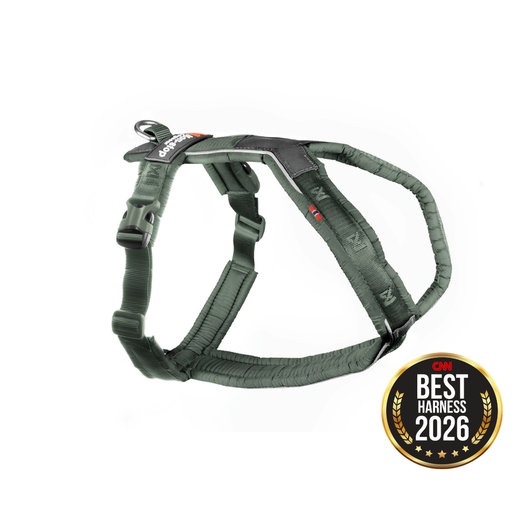 Non-Stop Dogwear Line Harness 5.0