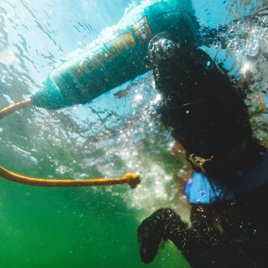 Ruffwear Lunker Juguete flotante