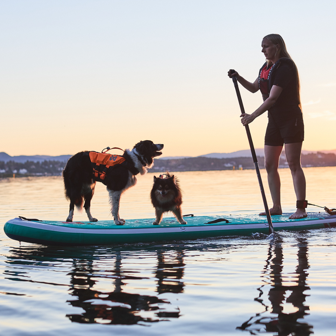Non-stop Dogwear Protector Life Jacket