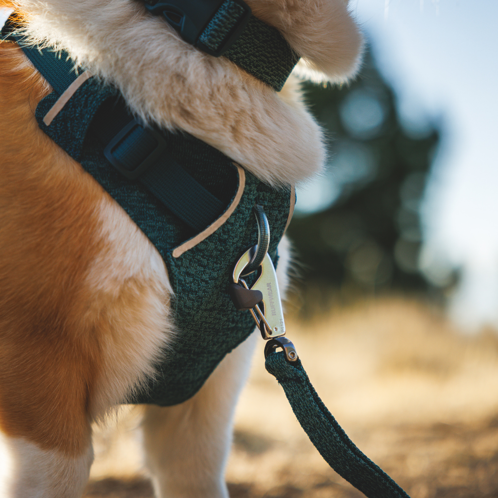 Ruffwear Correa Front Range Flex
