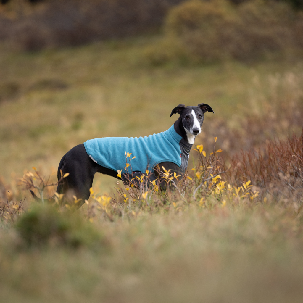 Non-Stop Dogwear Trail Quest Fleece Pullover