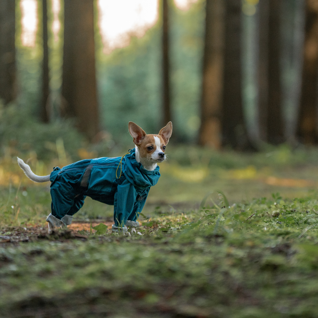 Non-Stop Dogwear Fjord Overall Regenjas