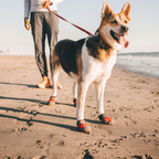 Ruffwear Botines Grip Trex™ (juego de 2)