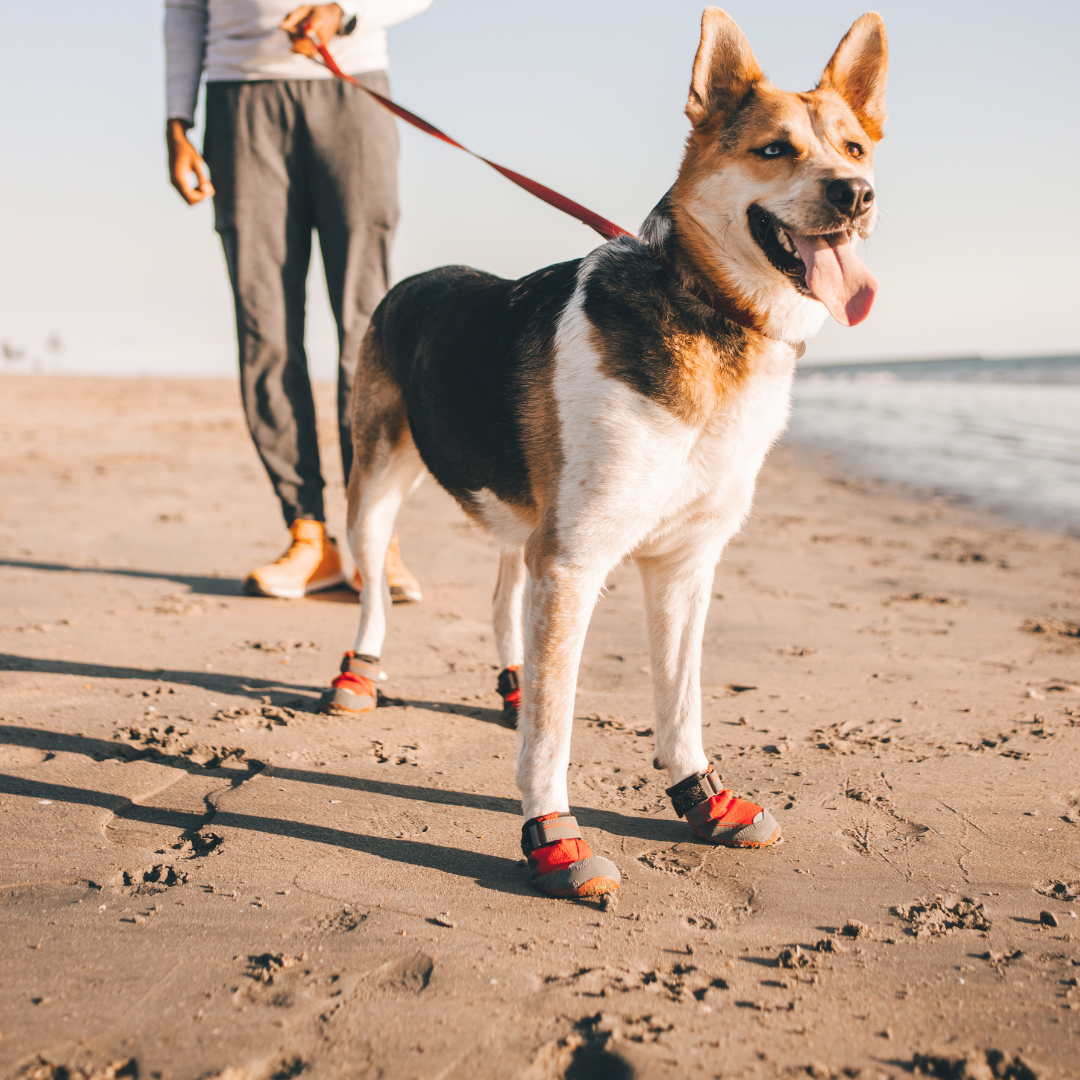 Ruffwear Botines Grip Trex™ (juego de 2)