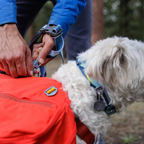 Ruffwear Collar Crag™ reflectante