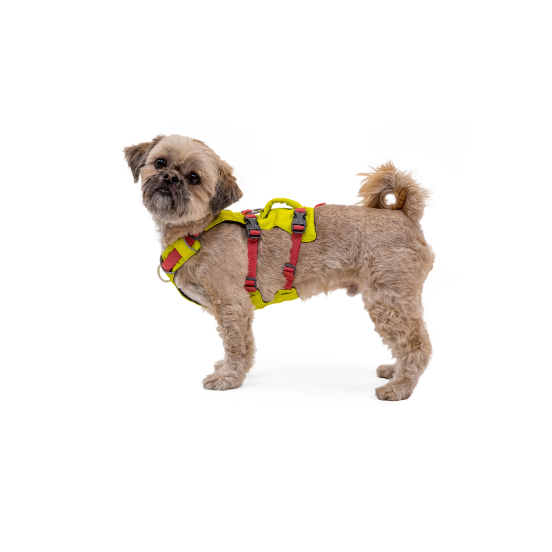 Ruffwear Flagline Harness