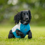 Non-Stop Dogwear Cooling Pull-on Vest