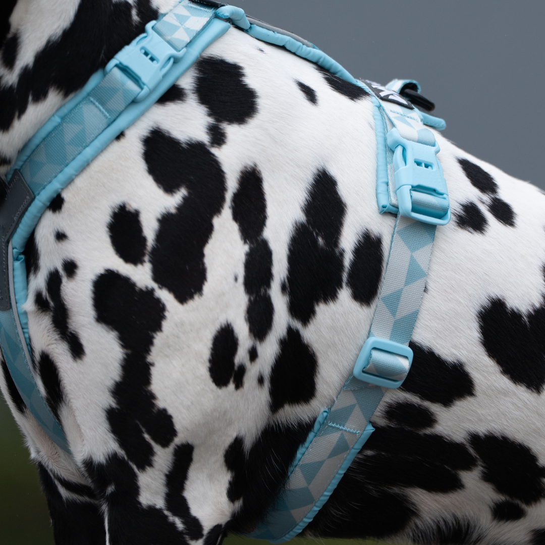 Non-Stop Dogwear Trekking Line Harness CLIP'N