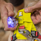 Ruffwear Beacon Luz de Seguridad