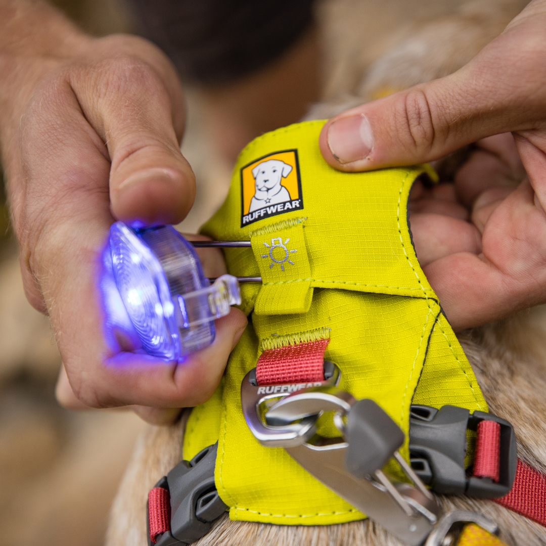 Ruffwear Beacon Luz de Seguridad