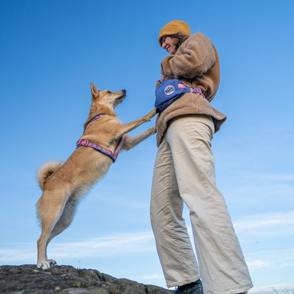 Non-stop Dogwear Trail Quest Fanny Pack