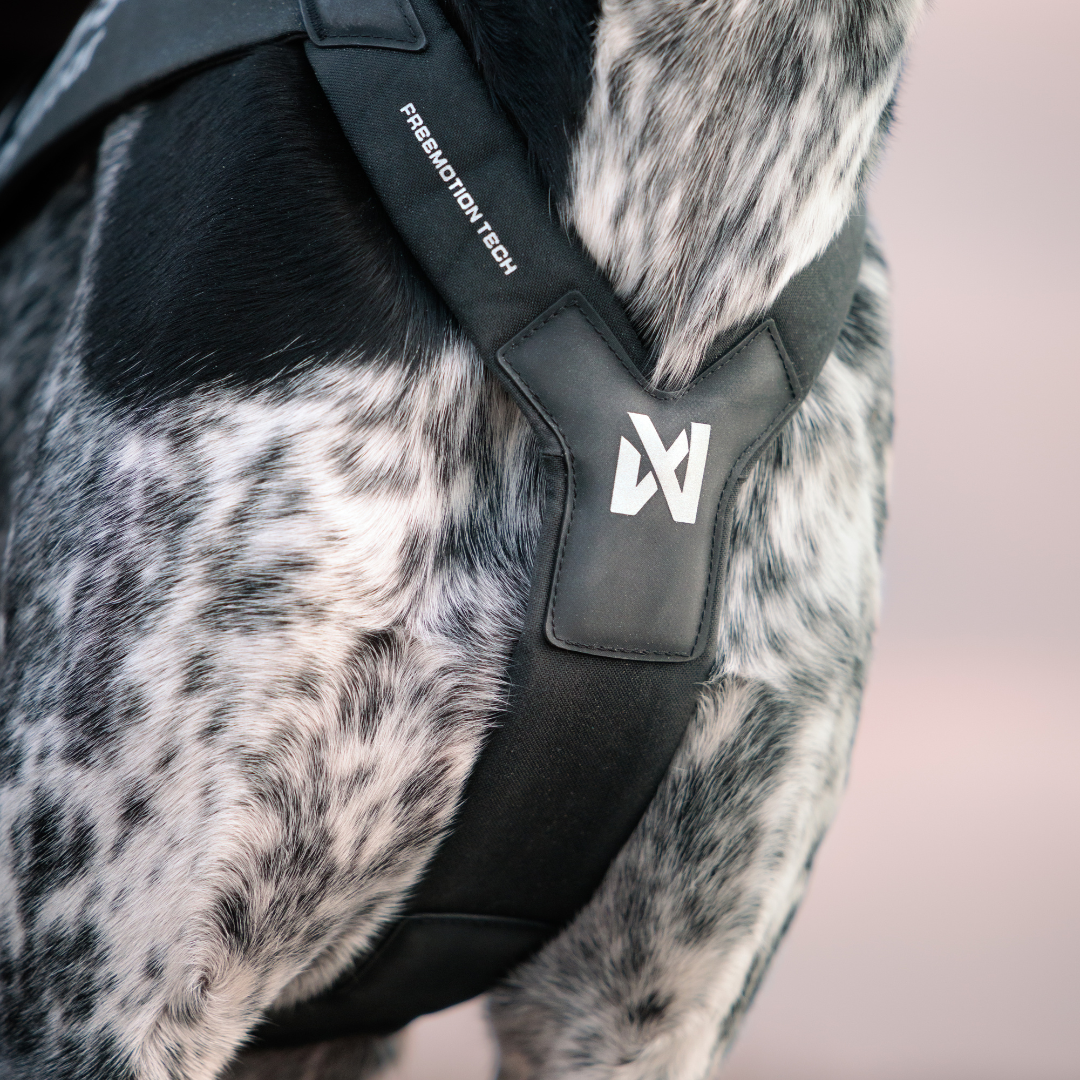 Non-Stop Dogwear Freemotion Harness Pro