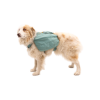 Ruffwear Front Range Mochila de Excursión