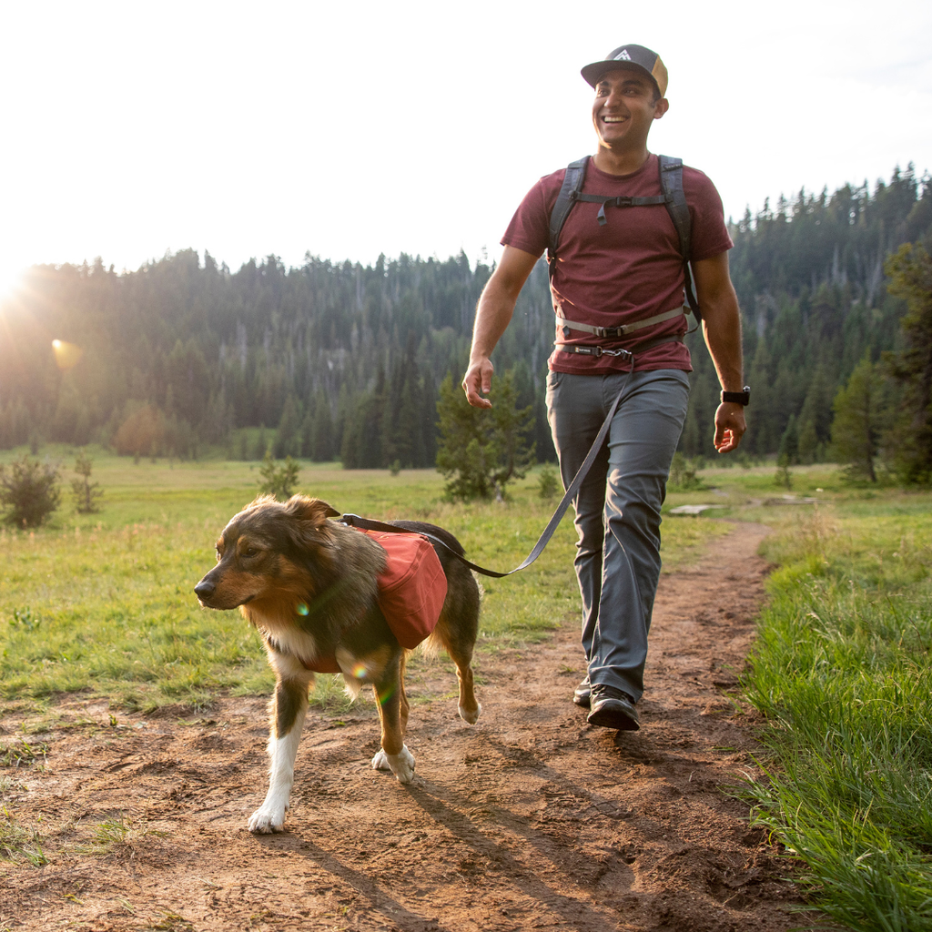 Ruffwear Switchbak Correa Multifunción