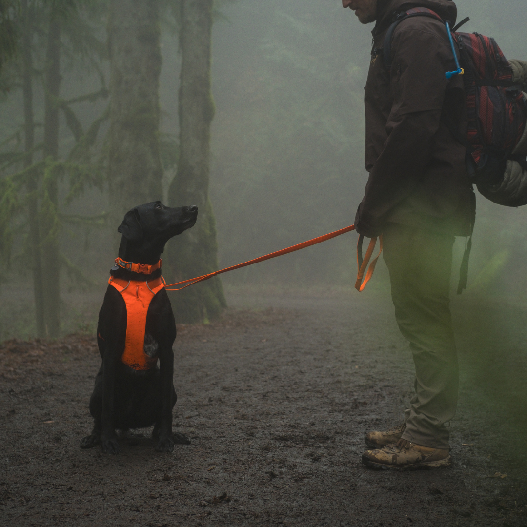 Correa Ruffwear Front Range