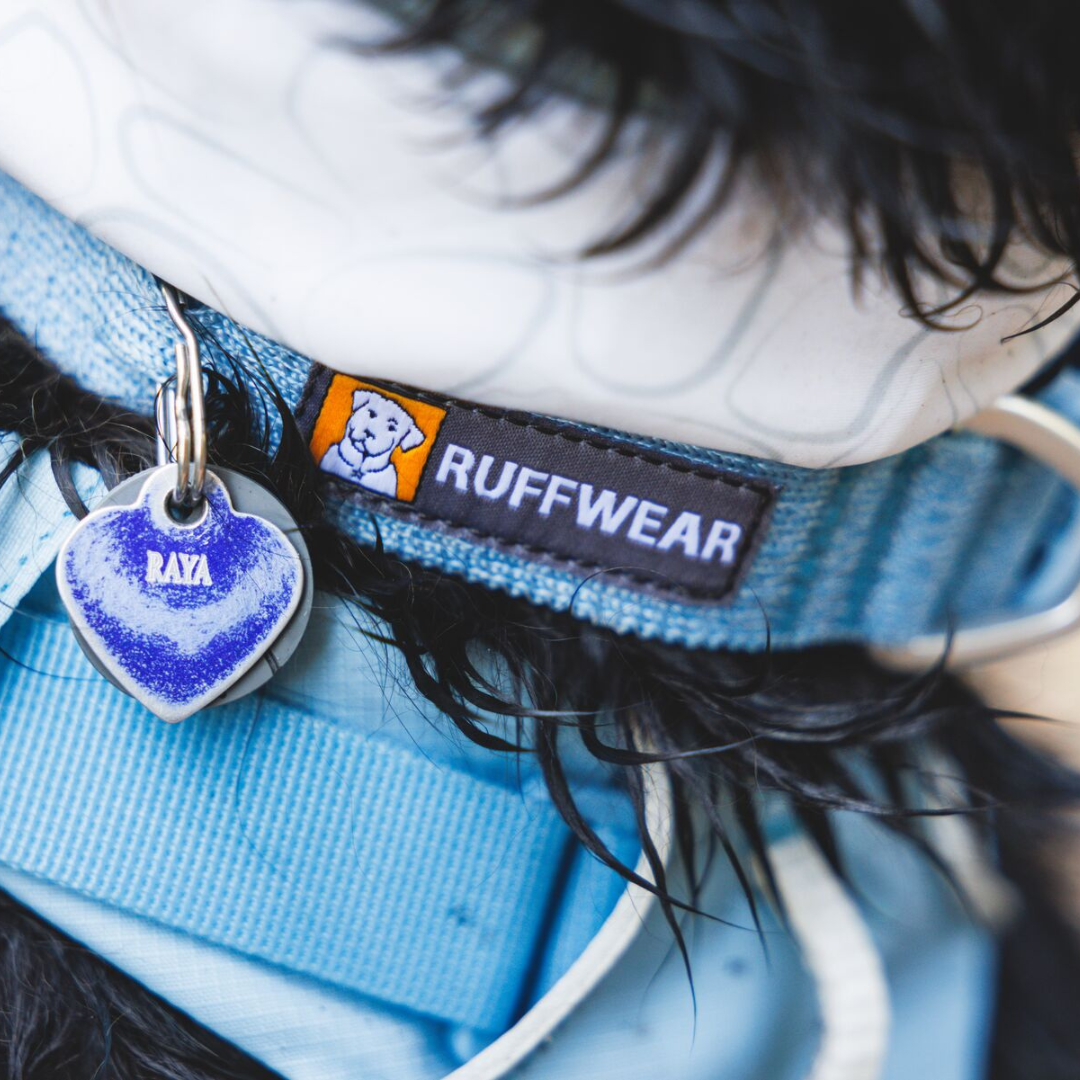 Ruffwear Collar Front Range Flex