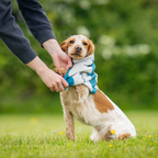 Non-Stop Dogwear Cooling Pull-on Vest