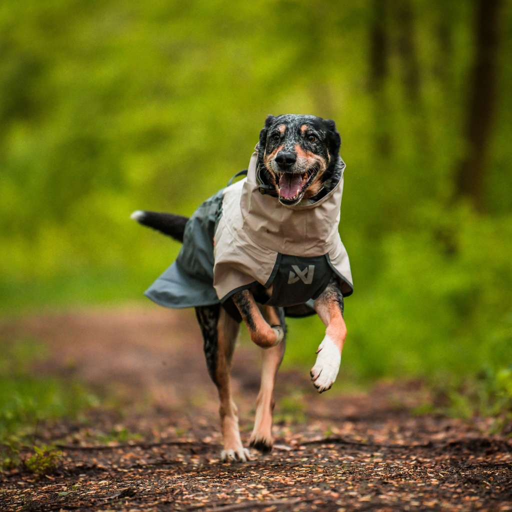 Non-Stop Dogwear Fjord Raincoat 2.0