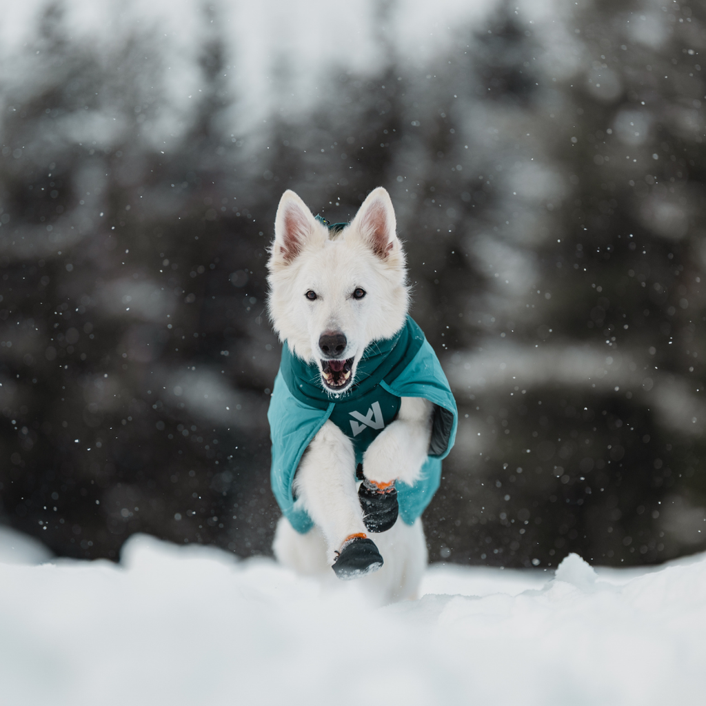 Non-Stop Dogwear Glacier Jacket 3.0
