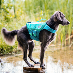 Non-stop Dogwear Protector Life Jacket