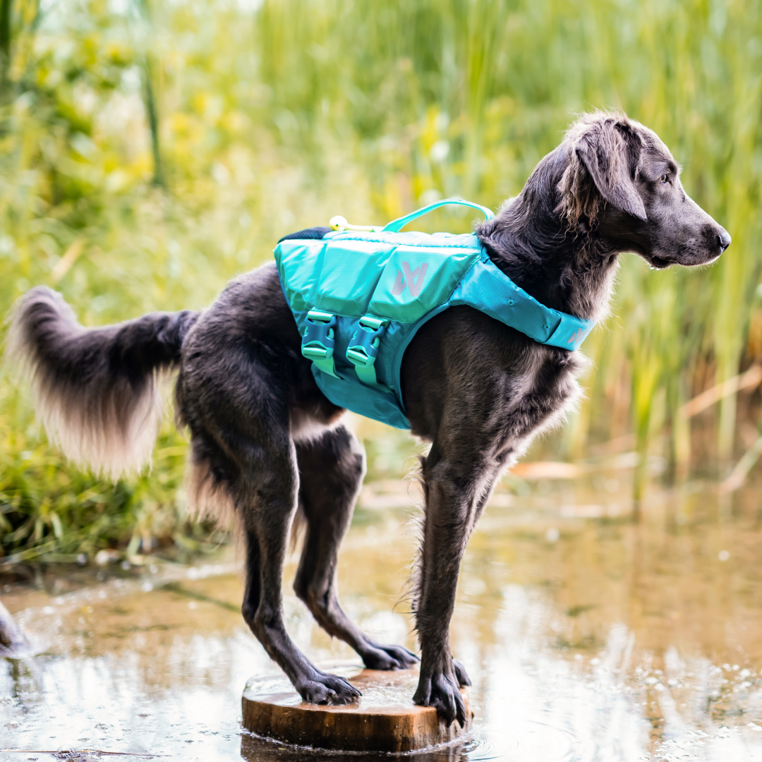 Non-stop Dogwear Protector Life Jacket