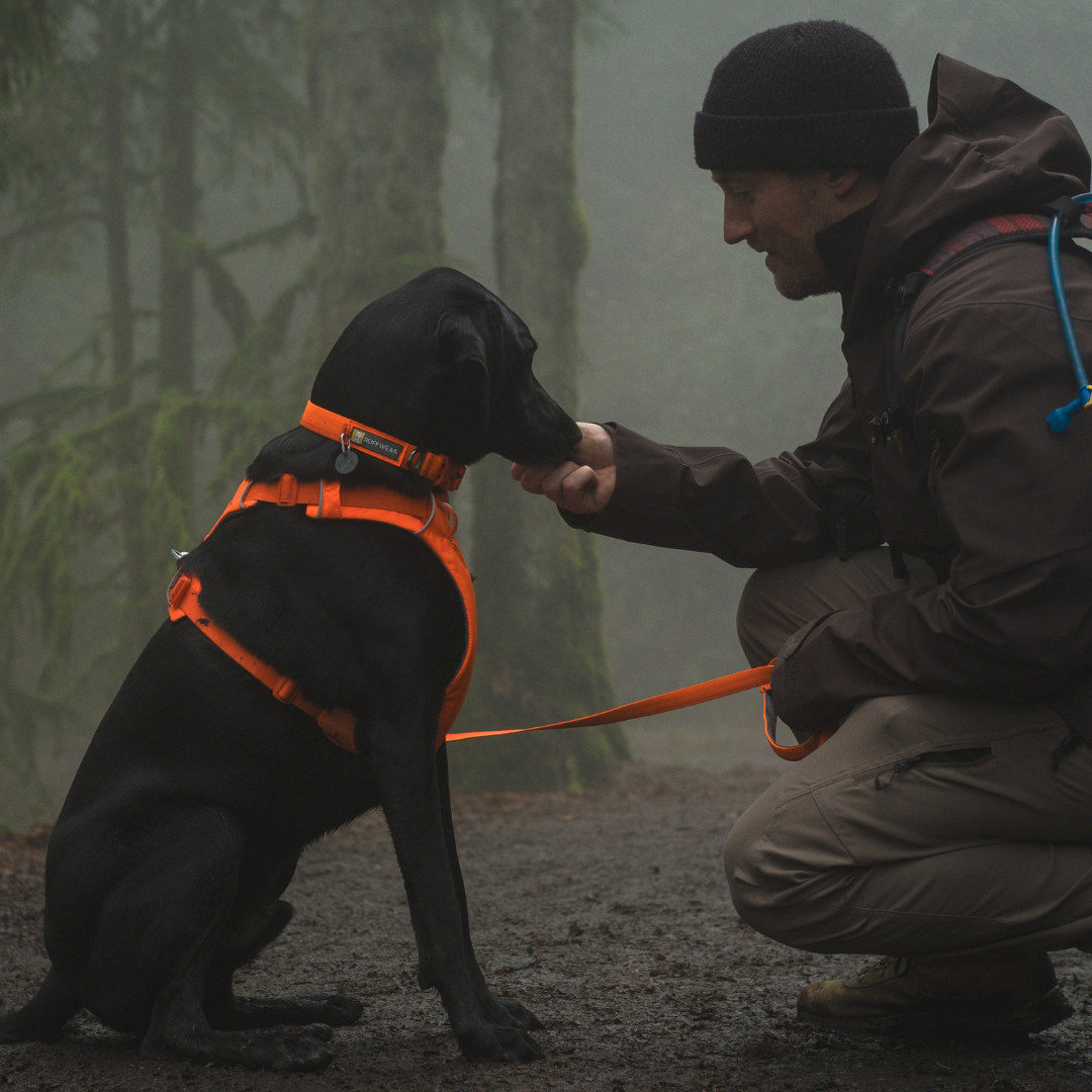 Correa Ruffwear Front Range