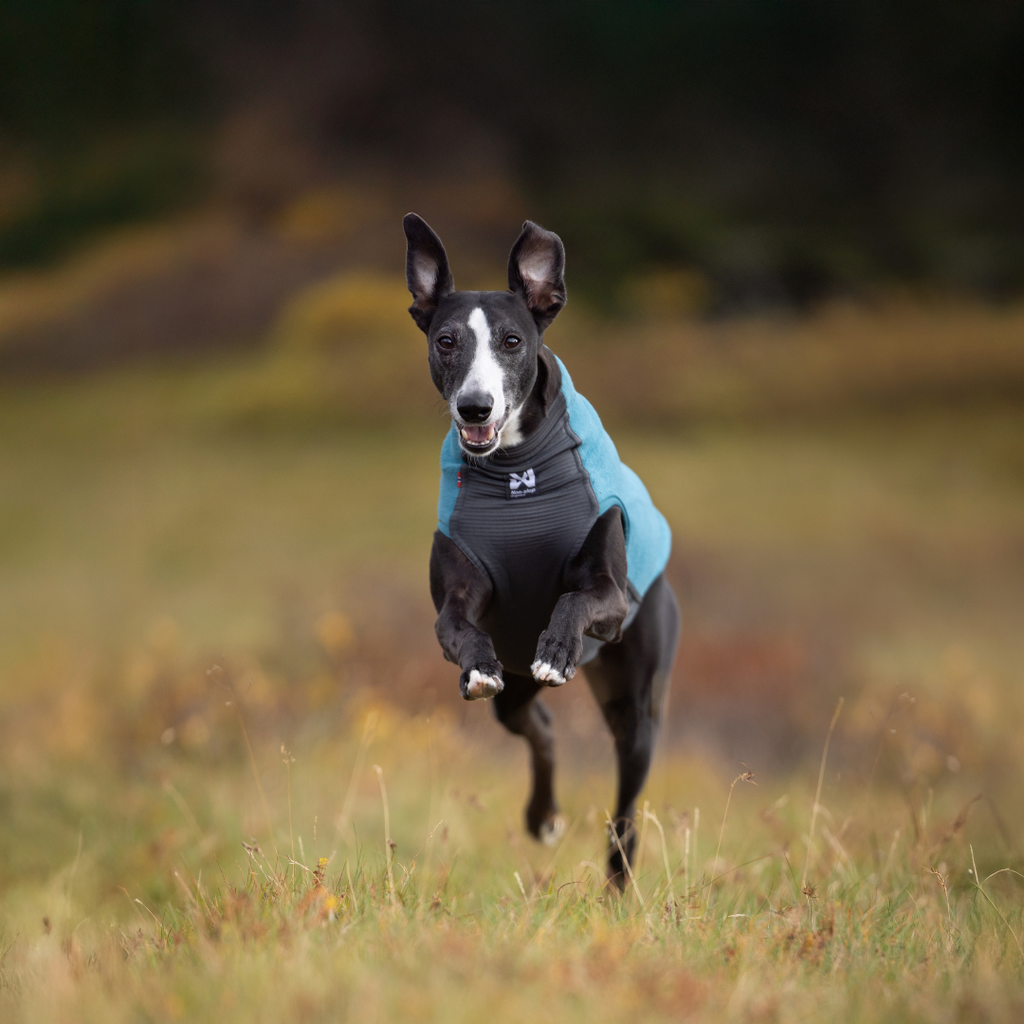 Non-Stop Dogwear Trail Quest Fleece Pullover