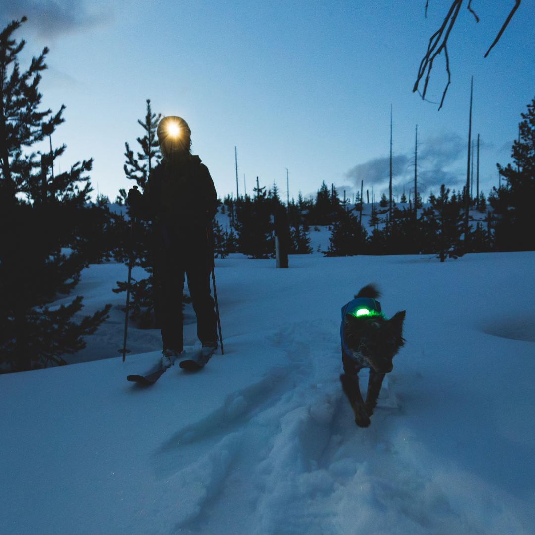 Ruffwear Beacon Luz de Seguridad