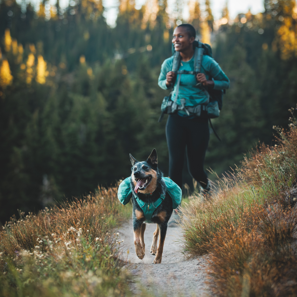 Ruffwear Front Range Mochila de Excursión