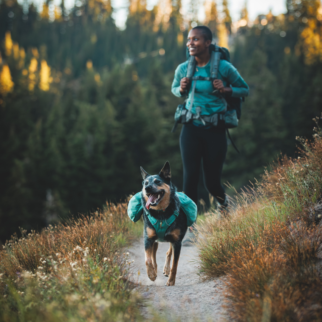 Ruffwear Front Range Mochila de Excursión