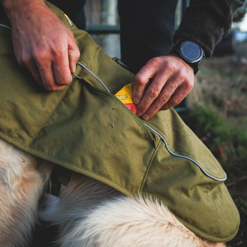 Ruffwear Overcoat Fuse