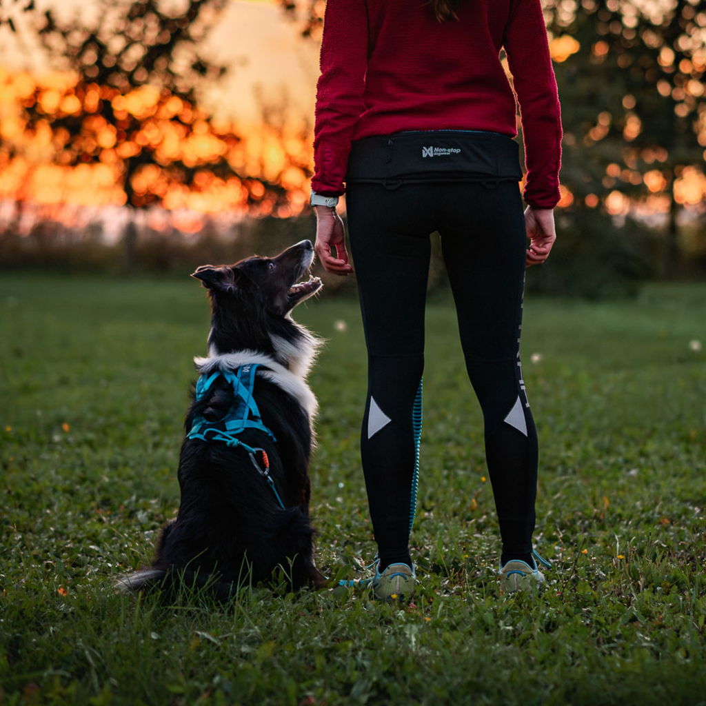 Non-Stop Dogwear Rush Belt