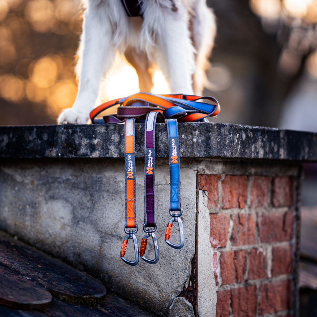 Non-Stop Dogwear Move Leash