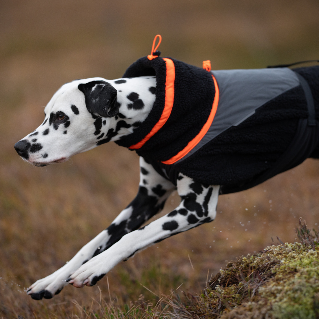 Non-Stop Dogwear Trekking Fleece
