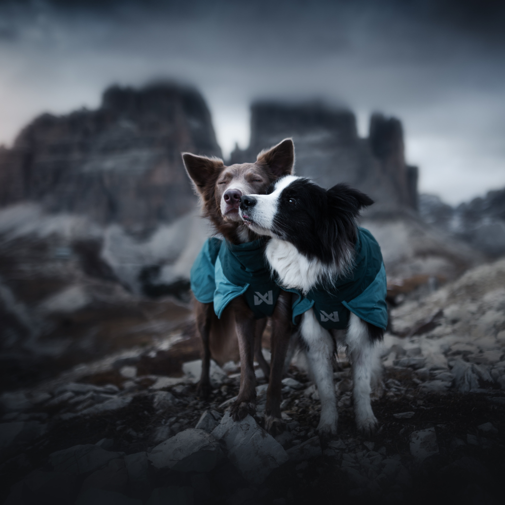 Non-Stop Dogwear Glacier Jacket 3.0