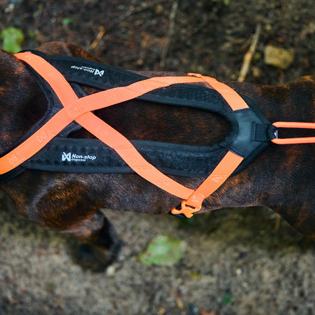 Non-Stop Dogwear Rush Harness