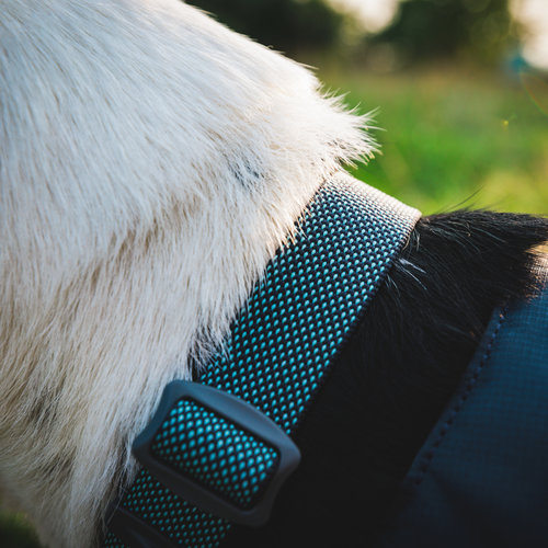 Collar Ruffwear Hi & Light