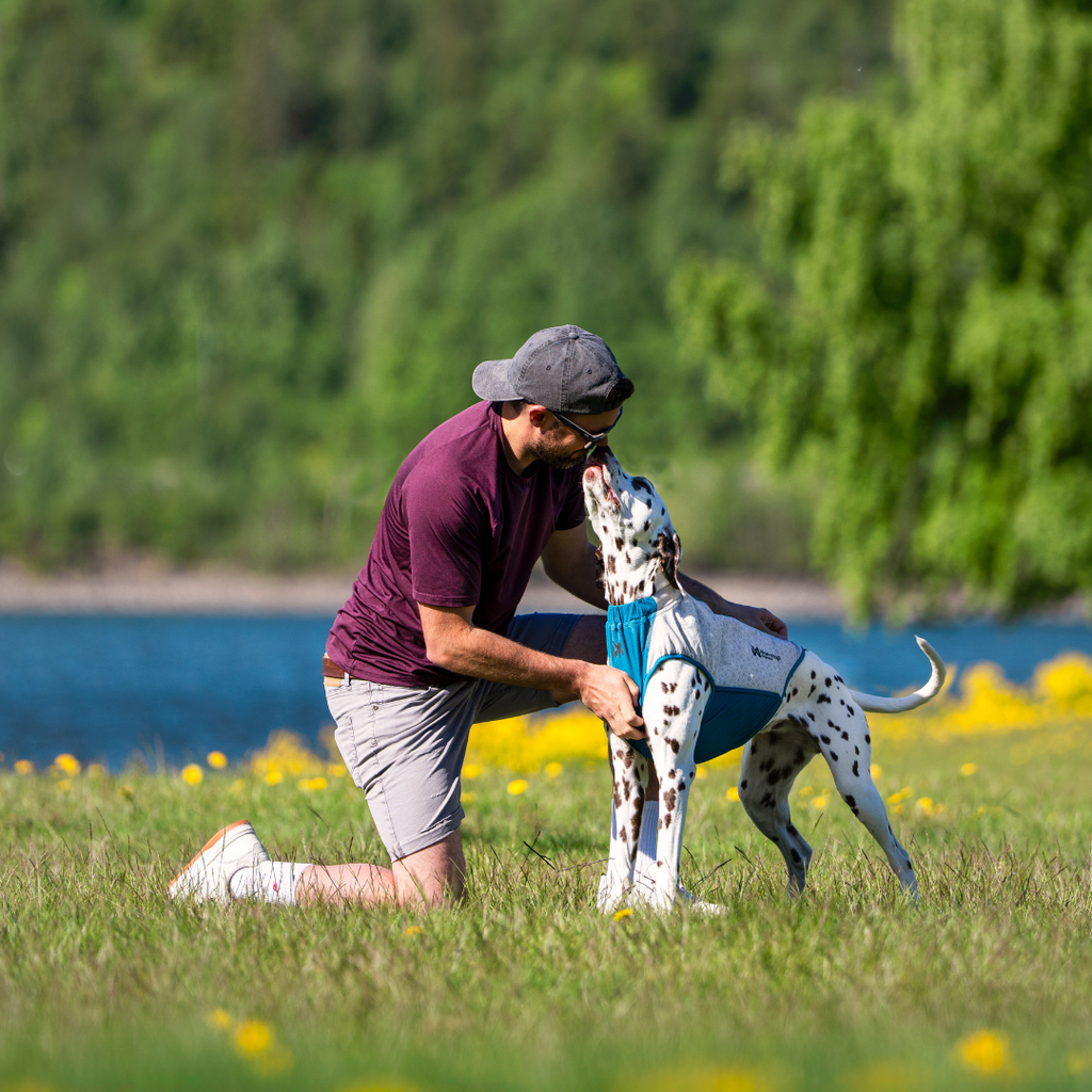 Non-Stop Dogwear Cooling Pull-on Vest