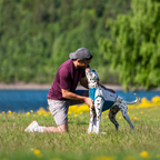 Non-Stop Dogwear Cooling Pull-on Vest