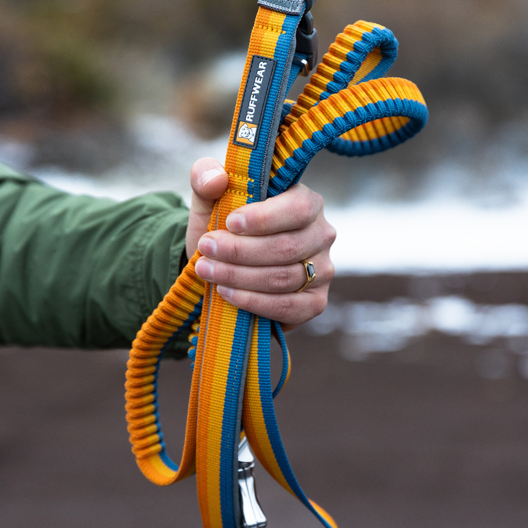 Ruffwear Roamer Correa elástica