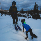 Ruffwear Beacon Luz de Seguridad