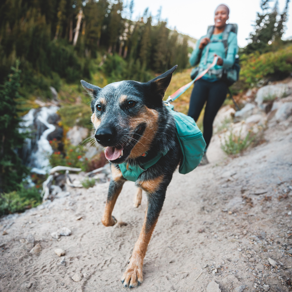 Ruffwear Front Range Mochila de Excursión