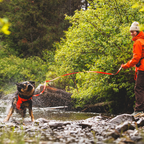 Ruffwear Rogue Long Line