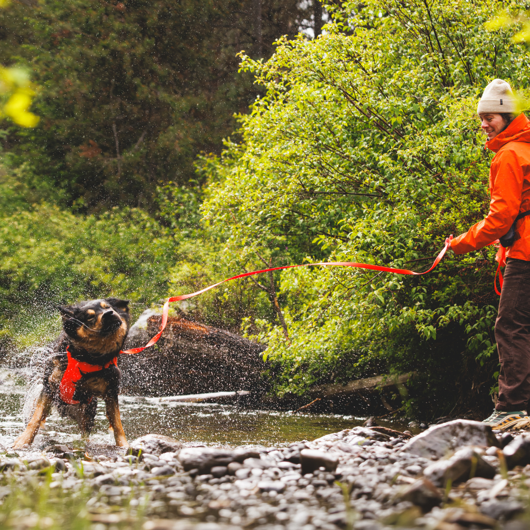Ruffwear Rogue Long Line
