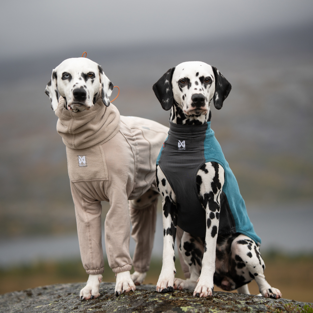 Non-Stop Dogwear Trail Quest Fleece Pullover